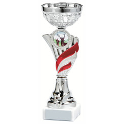 Silver/Red Bowl Award - 27cm