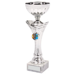 Silver Trophy Cup - 25cm