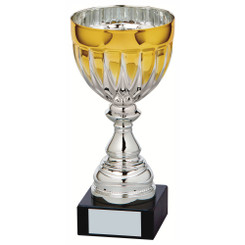 Silver/Gold Bowl Award - 25cm