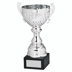 Silver Presentation Cup With Handles - 27.5cm