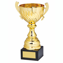 Gold Presentation Cup with Handles - 27.5cm