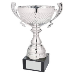 Silver Presentation Cup With Handles - 30cm