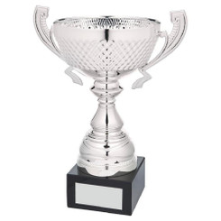 Silver Presentation Cup With Handles - 27cm
