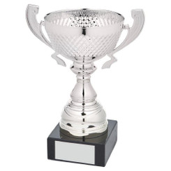 Silver Presentation Cup With Handles - 20cm