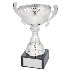 Silver Presentation Cup With Handles - 17.5cm