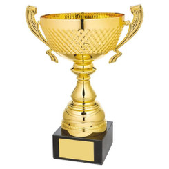 Gold Presentation Cup with Handles - 30cm
