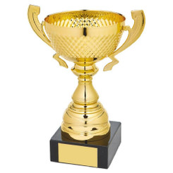 Gold Presentation Cup with Handles - 20cm