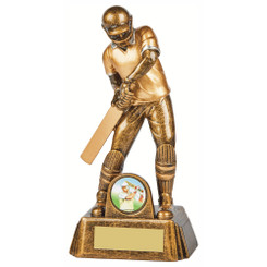 Resin Cricket Male Batsman Award - 16.5cm