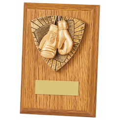 Light Oak Plaque - Boxing - 15cm