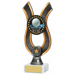 Antique Silver Ribbon Award - Netball - 20cm