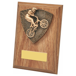 Wood Plaque with Resin Trim of your Choice - PLEASE SPECIFY TRIM IN NOTES - 13cm