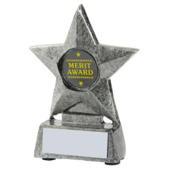 Silver Resin Star Award - 10cm