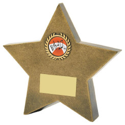 Resin Star Awards - 15.5cm