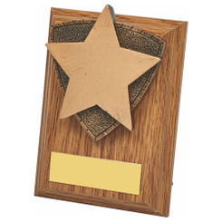 Wood Plaque with Resin Star Trim - 10cm