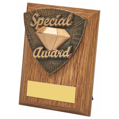 Wood Plaque with Resin Special Award Trim - 10cm