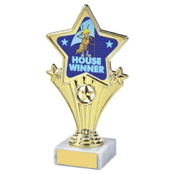 Fun Star Awards - House Winner (Blue) - 18cm