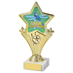 Fun Star Awards - Star of the Week - 18cm