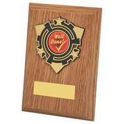 Light Oak Wood Plaque Award - 13cm