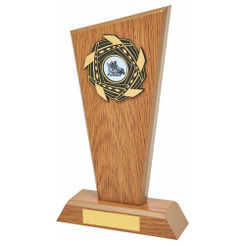 Light Oak Wood Stand Award - 23cm