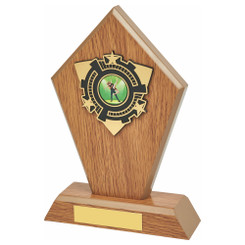 Light Oak Wood Stand Award - 19cm