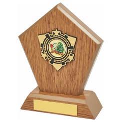 Light Oak Wood Stand Award - 15cm
