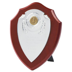 Chrome Fronted Shield - 20cm