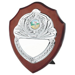 Traditional Chrome Front Shield - 20cm