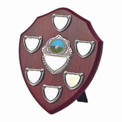 Annual Presentation Shield - 36cm