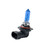 Putco | Light Bulbs | PUTB0209