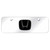 Au-TOMOTIVE GOLD | License Plate Covers and Frames | Honda | AUGD1515