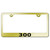Au-TOMOTIVE GOLD | License Plate Covers and Frames | Chrysler 300 | AUGD4473
