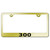 Au-TOMOTIVE GOLD | License Plate Covers and Frames | Chrysler 300 | AUGD4473
