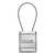 Au-TOMOTIVE GOLD | Keychains | Dodge Charger | AUGD4571