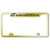 Au-TOMOTIVE GOLD | License Plate Covers and Frames | Ford Expedition | AUGD5444
