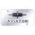 Au-TOMOTIVE GOLD | License Plate Covers and Frames | Lincoln Aviator | AUGD6831