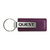 Au-TOMOTIVE GOLD | Keychains | Nissan Quest | AUGD7820