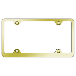 Au-TOMOTIVE GOLD | License Plate Covers and Frames | AUGD8378
