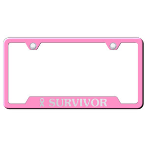 Au-TOMOTIVE GOLD | License Plate Covers and Frames | AUGD8398