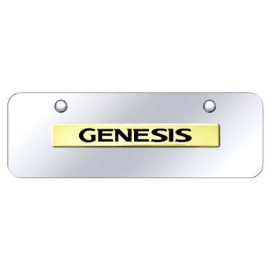 Au-TOMOTIVE GOLD | License Plate Covers and Frames | Hyundai Genesis | AUGD8538