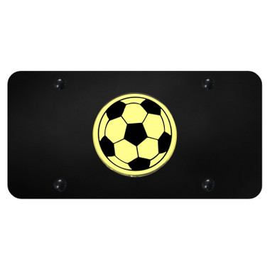 Au-TOMOTIVE GOLD | License Plate Covers and Frames | AUGD8613