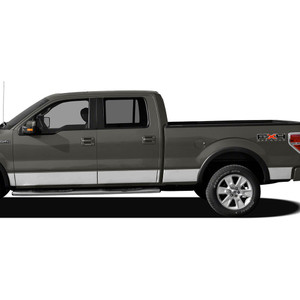 Diamond Grade | Side Molding and Rocker Panels | 09-14 Ford F-150 | SRF1032