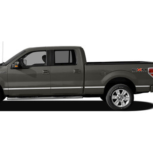 Diamond Grade | Side Molding and Rocker Panels | 09-14 Ford F-150 | SRF0023