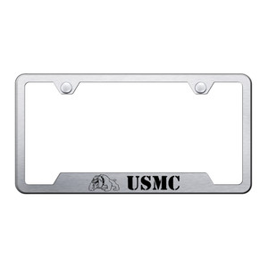 Au-TOMOTIVE GOLD | License Plate Covers and Frames | AUGD9013