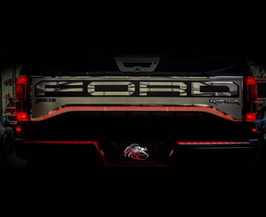 Brushed Tailgate Insert w/Red Illumination for 2018 Ford F-150 Raptor