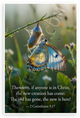 2 Corinthians 5:17 'New Creation Has Come' Butterfly Emerging Inspirational 12x18 US Made Poster