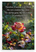 2 Corinthians 5:17 'New Creation Has Come' Inspirational 12x18 US Made Poster