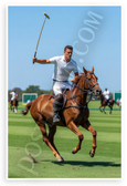 Nacho Figueras Polo Player Action Horseback 12x18 US Made Poster
