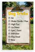 Dog Tricks Sit Shake High Five Educational 12x18 US Made Poster