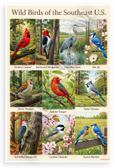 Wild Birds of the Southeast US Bird Identification Educational 12x18 US Made Poster