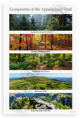 Ecosystems of the Appalachian Trail Educational 12x18 US Made Poster
